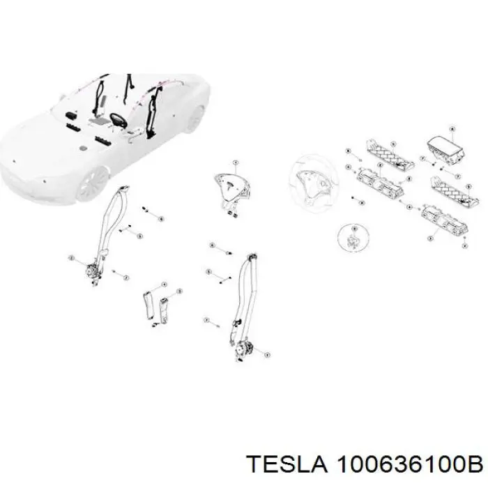  100636100B Tesla