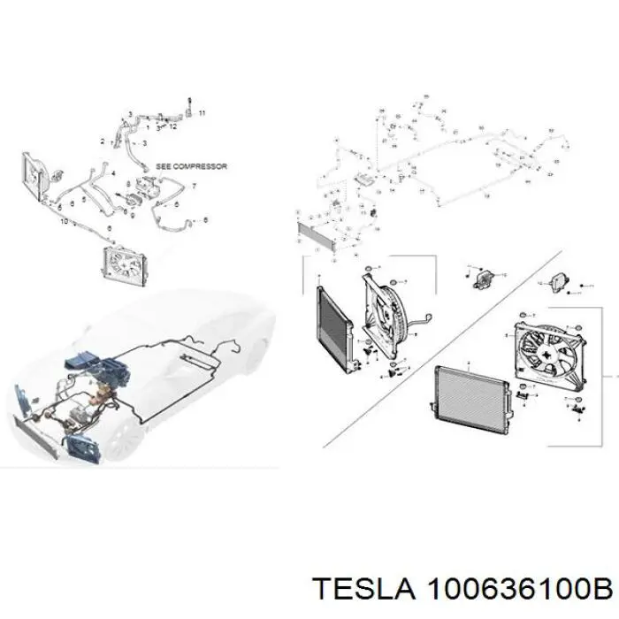 100636100B Tesla 