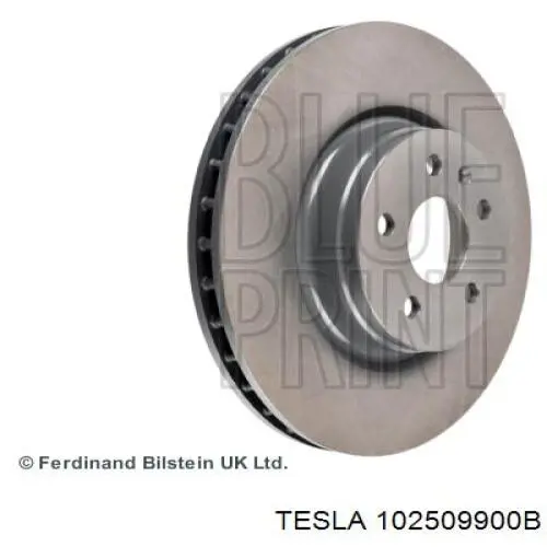 Купити 102509900B Tesla Ротор гальмівний
