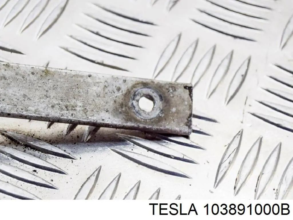  103891000B Tesla