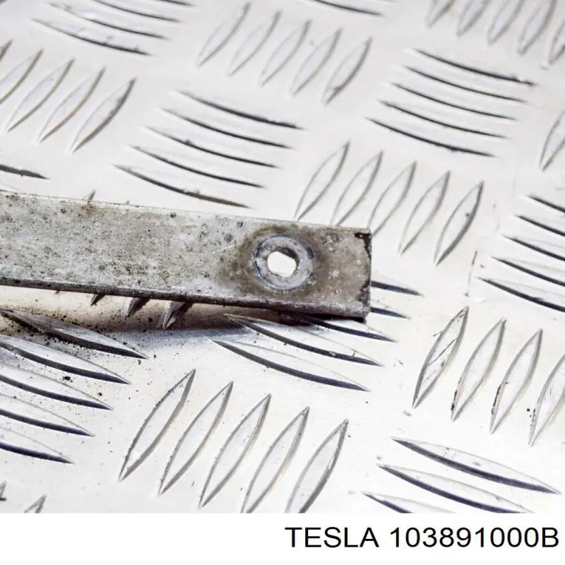  103891000B Tesla