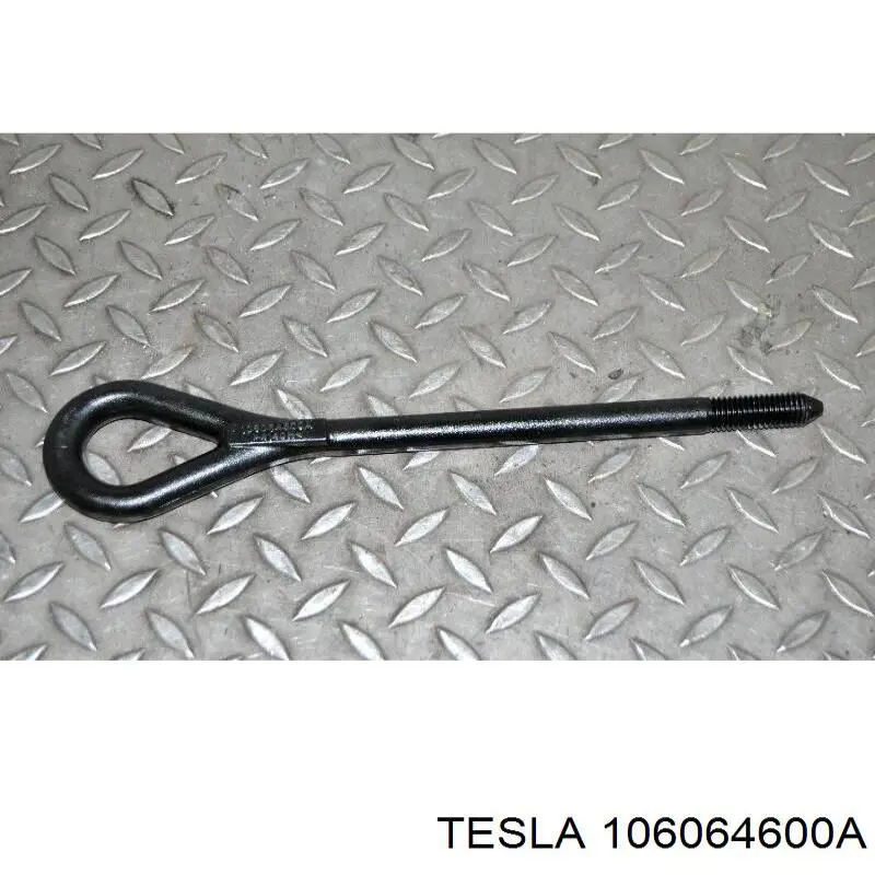  106064600A Tesla