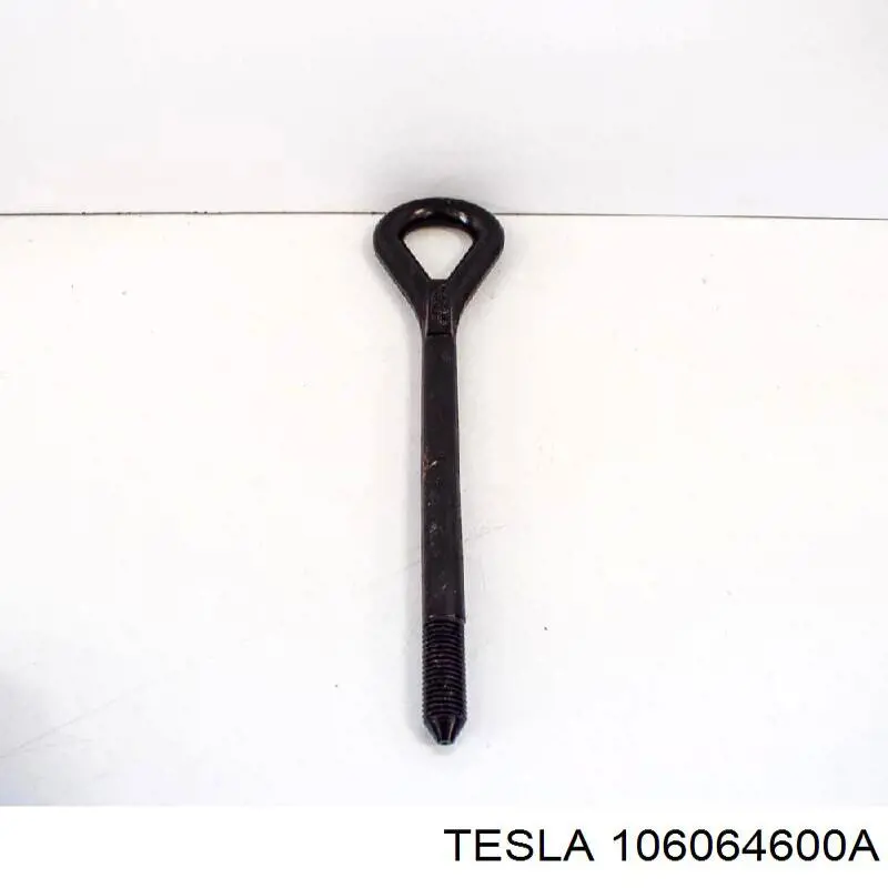 Tesla 106064600A