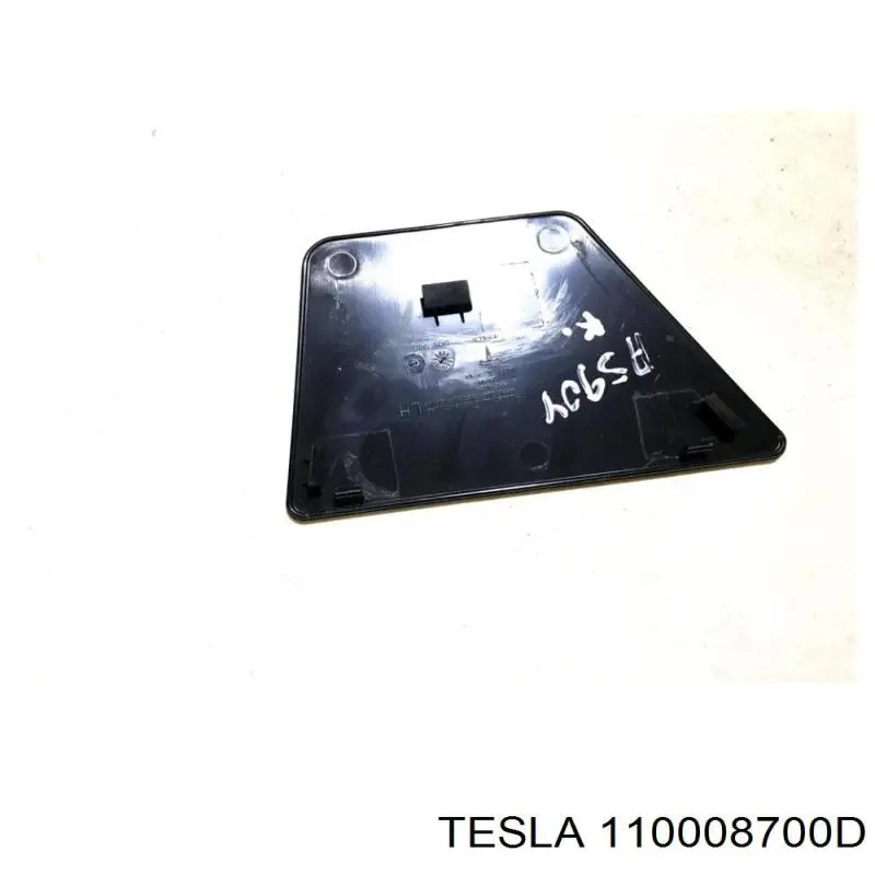 110008700D Tesla 