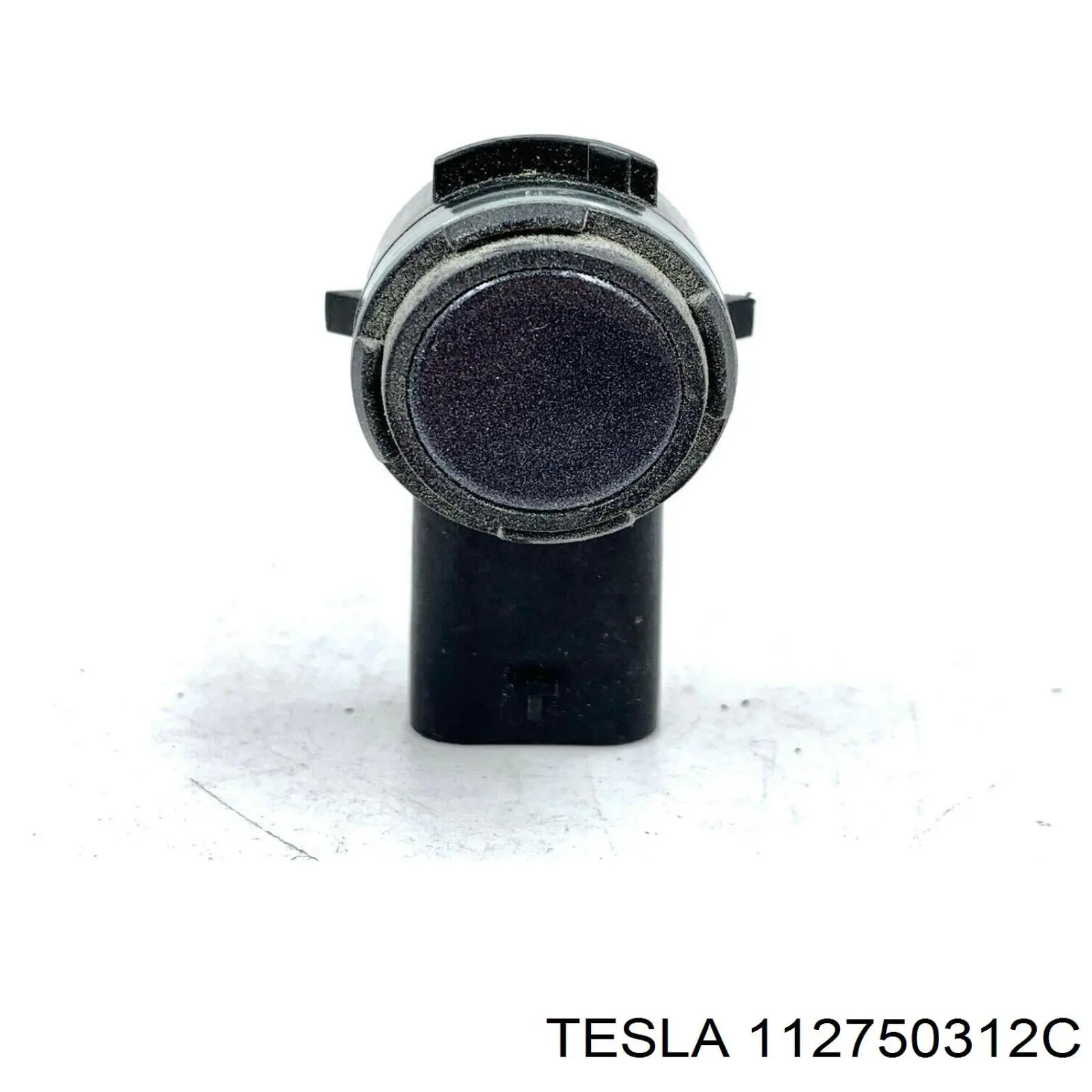  112750301D Tesla Motors