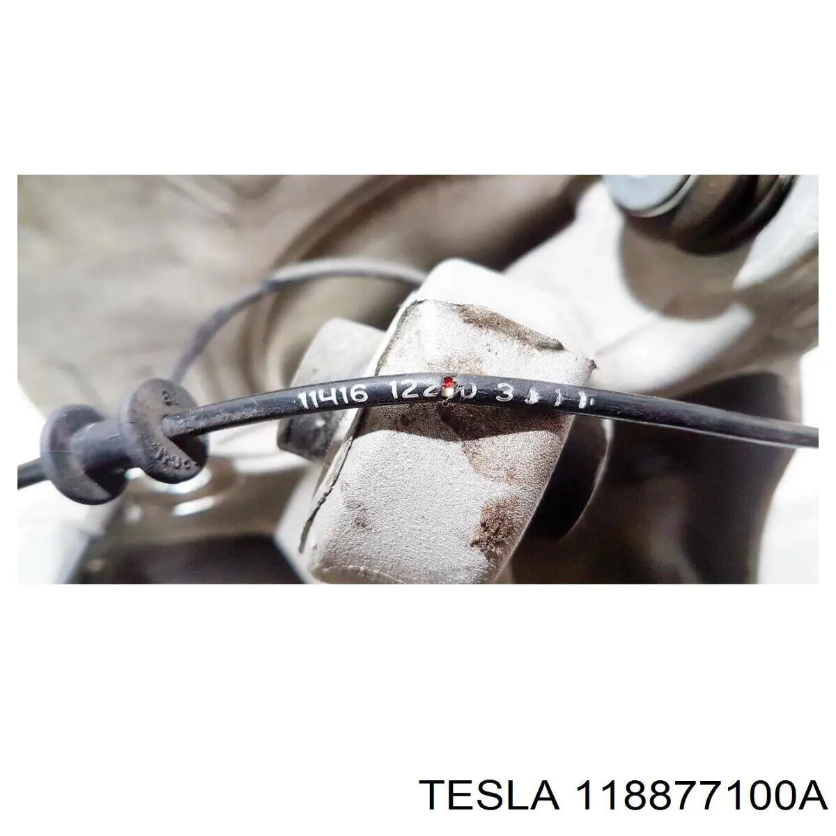 Датчик АБС (ABS) задній 118877100A Tesla Motors
