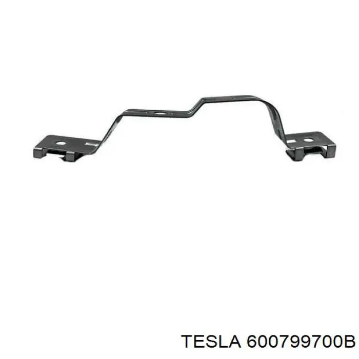 Купити 600799700B Tesla Важіль передньої підвіски нижній, лівий/правий