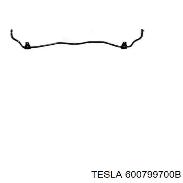 Важіль передньої підвіски нижній, лівий/правий Tesla 600799700B