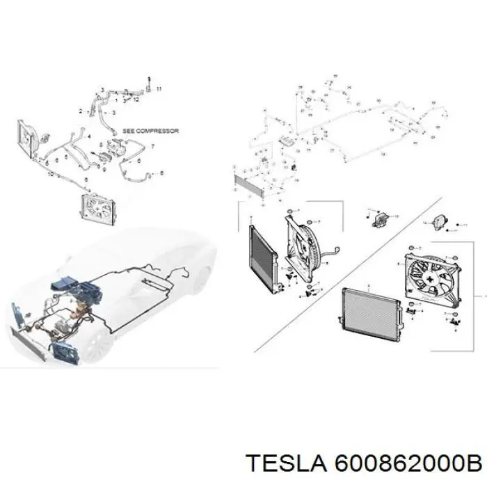  600862000B Tesla