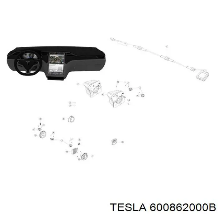600862000B Tesla 