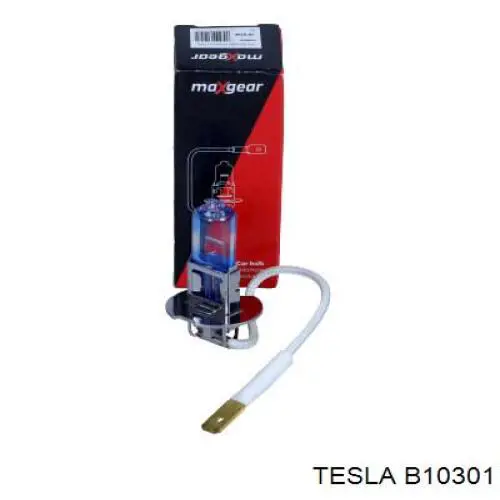Купити B10301 Tesla Лампочка галогенна
