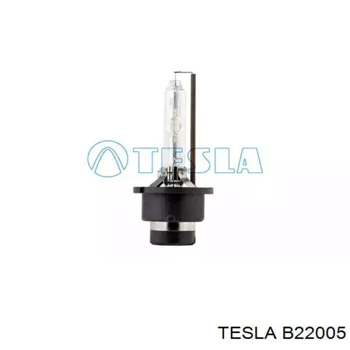 B22005 Tesla Ксенон