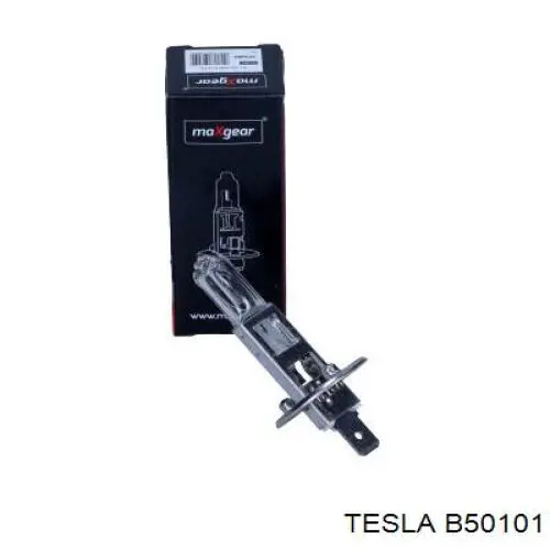 B50101 Tesla лампочка галогенна