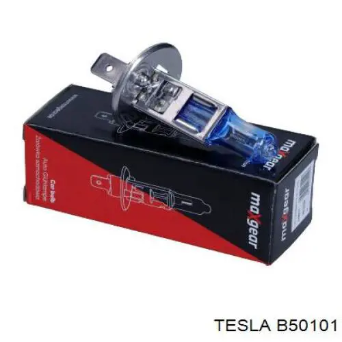 Лампочка галогенна Signeda H1LEDEPLH31 ціна, від 19.09 USD
