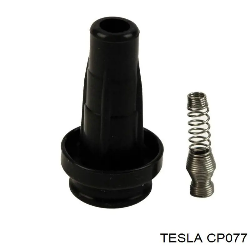  CP077 Tesla
