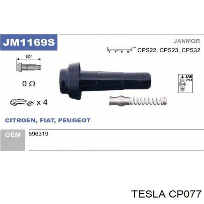 CP077 Tesla 