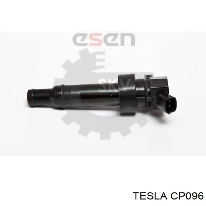  CP096 Tesla