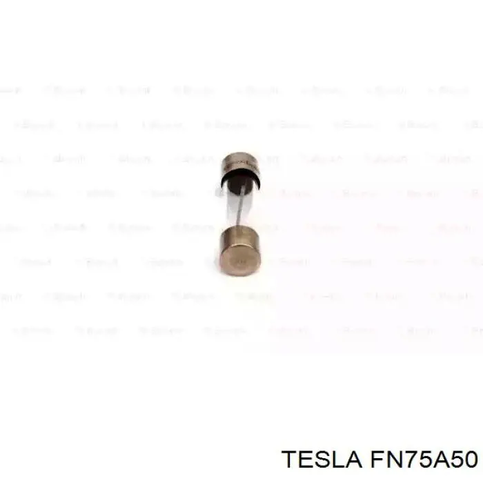 FN75A50 Tesla Запобіжник