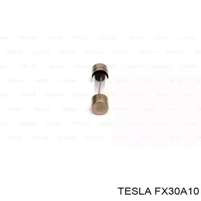 Запобіжник FX30A10 Tesla
