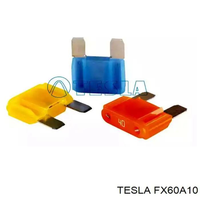 Купити FX60A10 Tesla Запобіжник