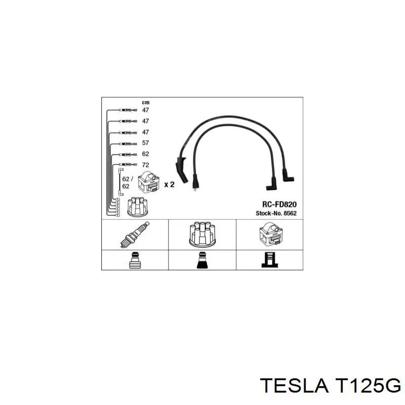  T125G Tesla