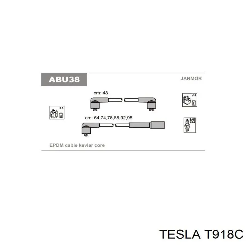  T918C Tesla