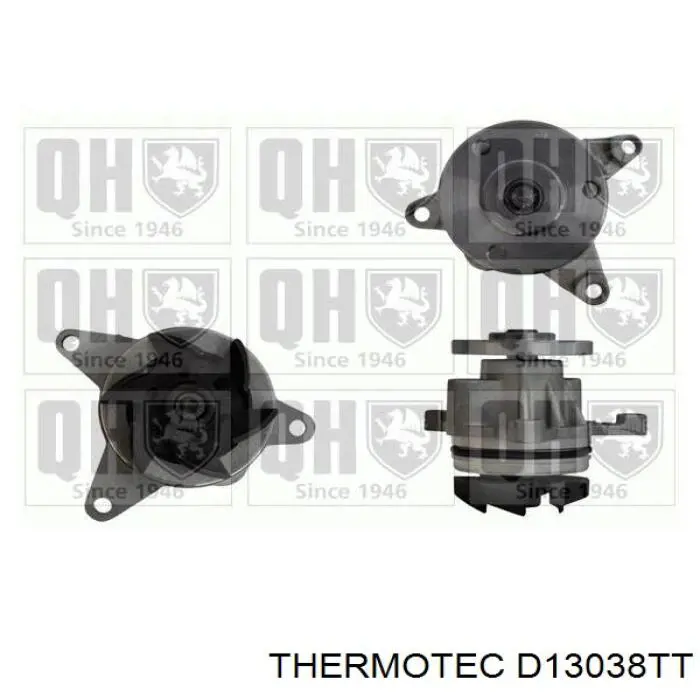 D13038TT Thermotec Насос охолодження