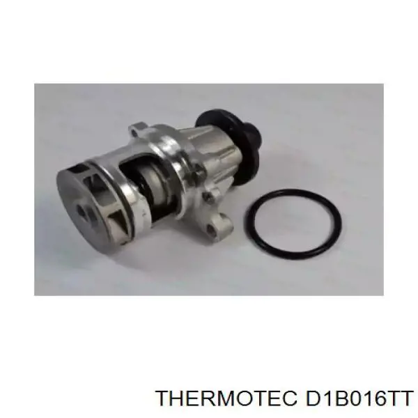 D1B016TT Thermotec помпа водяна, (насос охолодження)