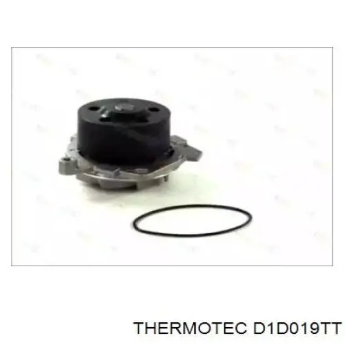D1D019TT Thermotec помпа водяна, (насос охолодження)