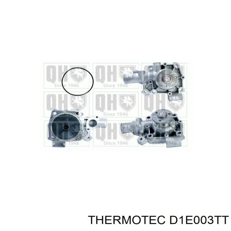 Помпа 99440726 Iveco