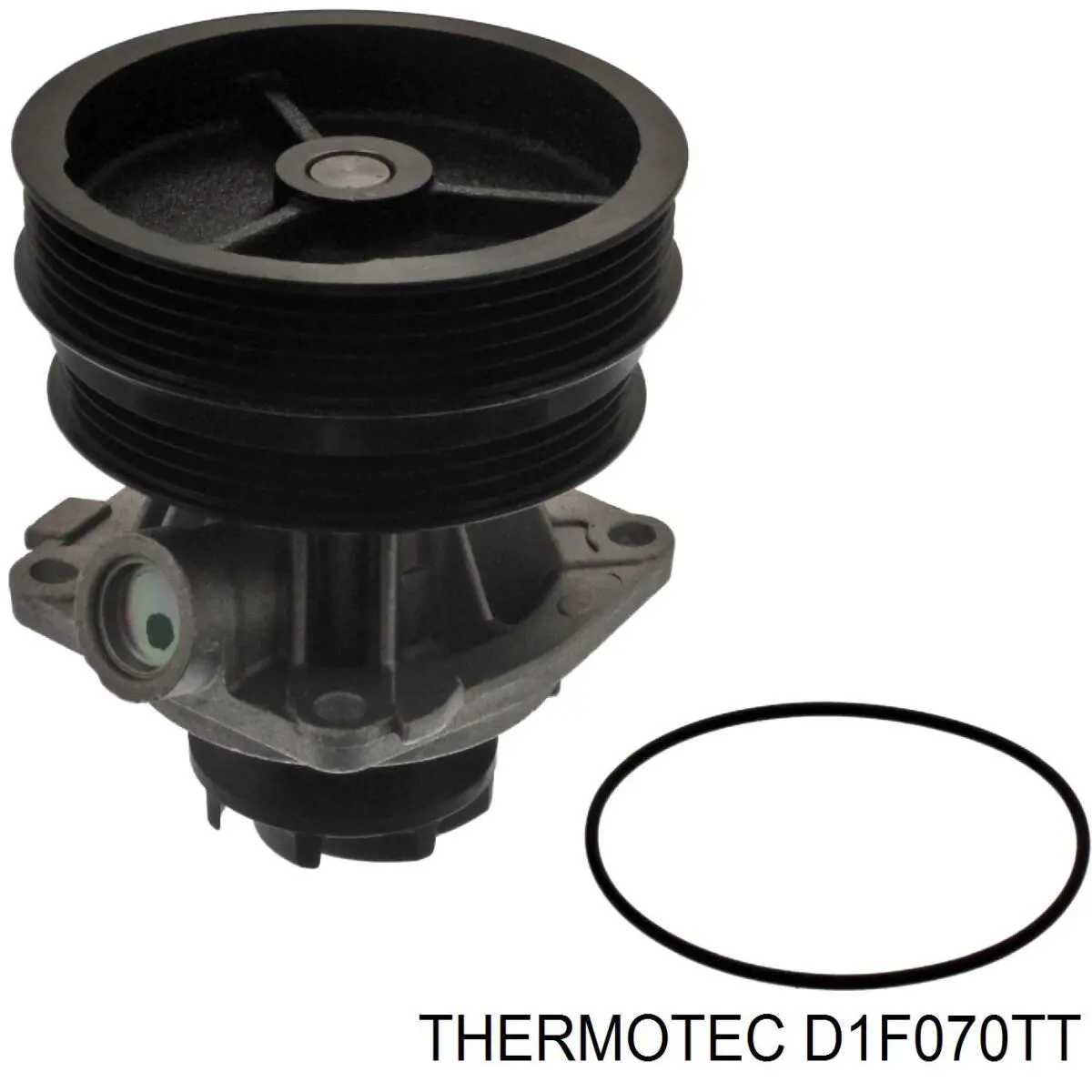 Помпа D1F070TT Thermotec
