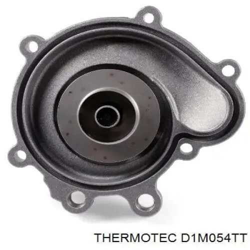 Помпа D1M054TT Thermotec