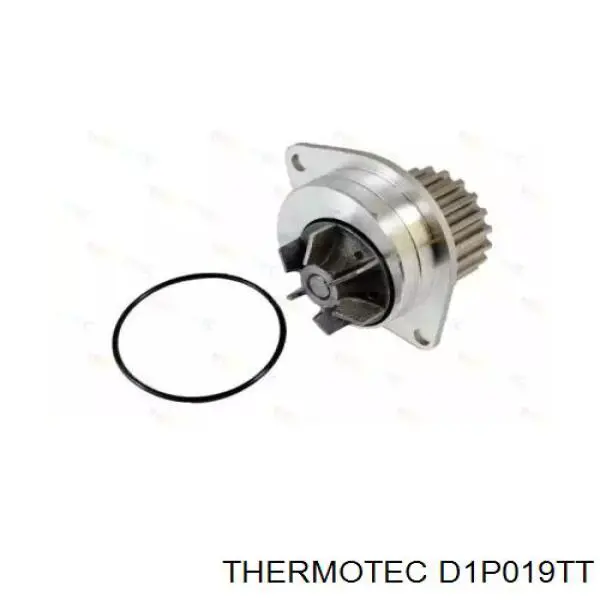 D1P019TT Thermotec помпа водяна, (насос охолодження)