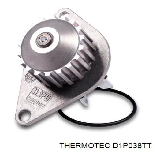 Водяний насос Thermotec D1P038TT