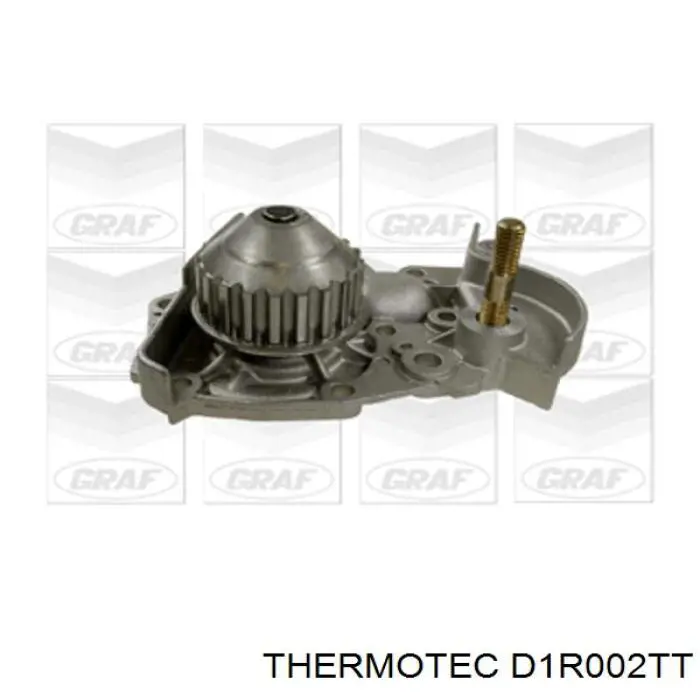 Помпа D1R002TT Thermotec