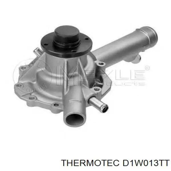 Помпа D1W013TT Thermotec