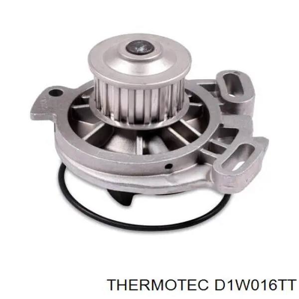 Помпа D1W016TT Thermotec