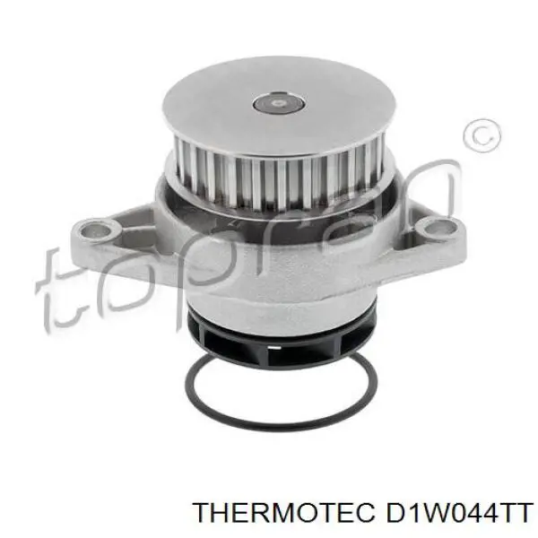 Помпа D1W044TT Thermotec
