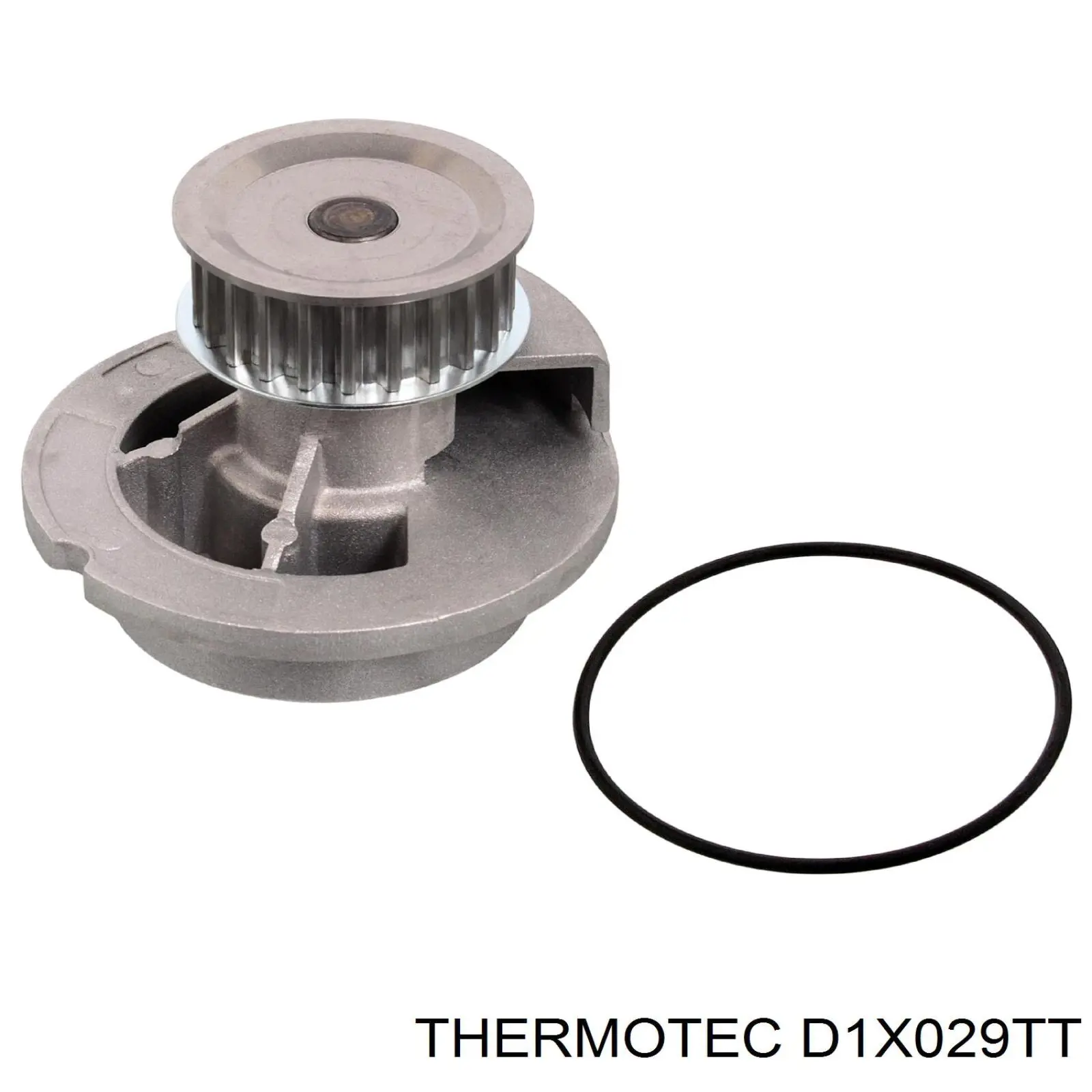 Помпа D1X029TT Thermotec