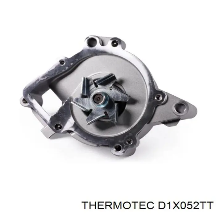Помпа D1X052TT Thermotec