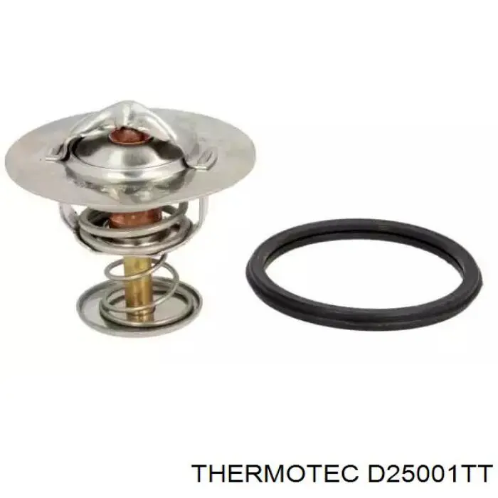 Купити D25001TT Thermotec Термостат в корпусі