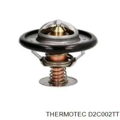 Термостат D2C002TT Thermotec