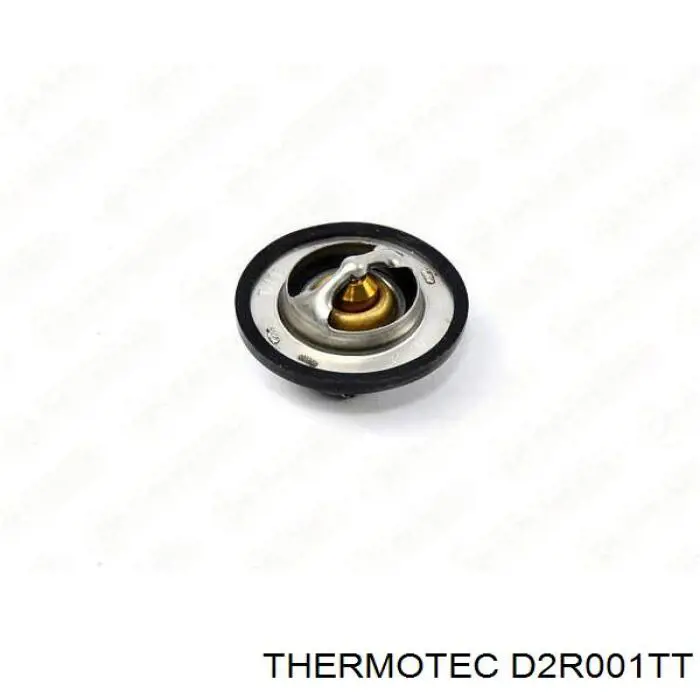 Термостат в зборі Thermotec D2R001TT