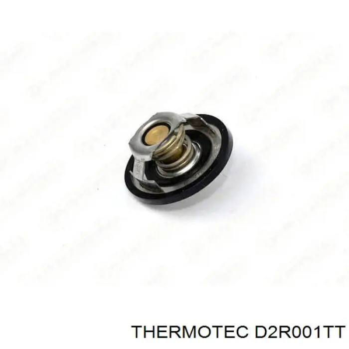 Купити D2R001TT Thermotec Термостат в корпусі