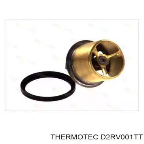 D2RV001TT Thermotec термостат