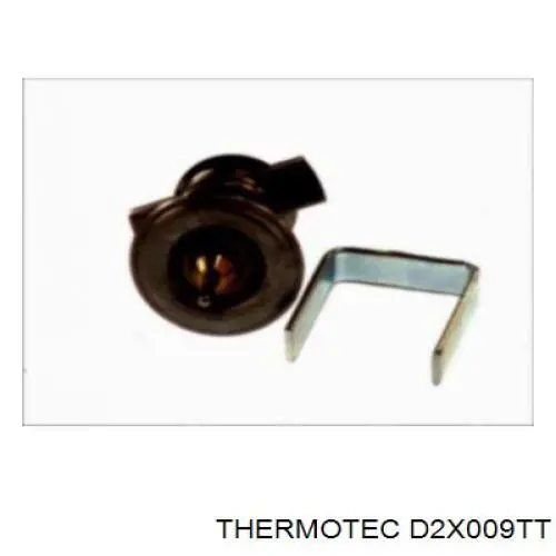 Купити D2X009TT Thermotec Термостат в корпусі