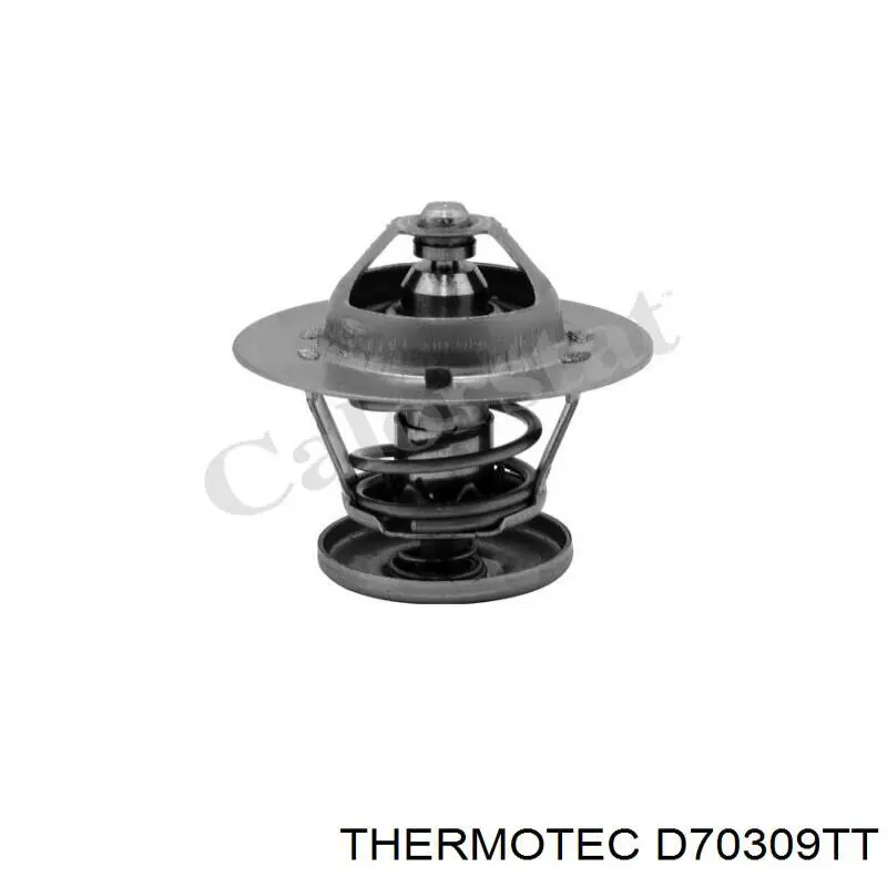 D70309TT Thermotec Радіатор охолодження двигуна