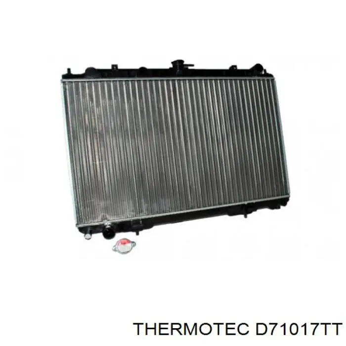 Радіатор охолодження двигуна D71017TT Thermotec