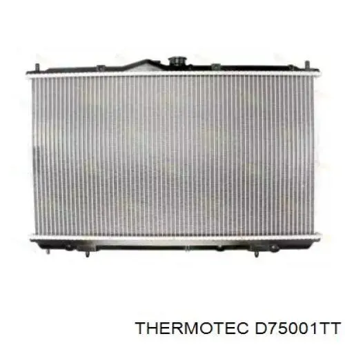 Радіатор D75001TT Thermotec