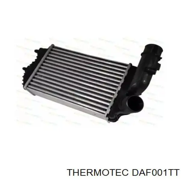 Радіатор інтеркулера Thermotec DAF001TT
